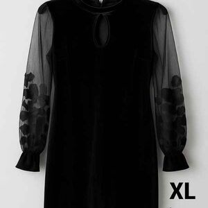 Elegant Black Sheer Sleeve Dress